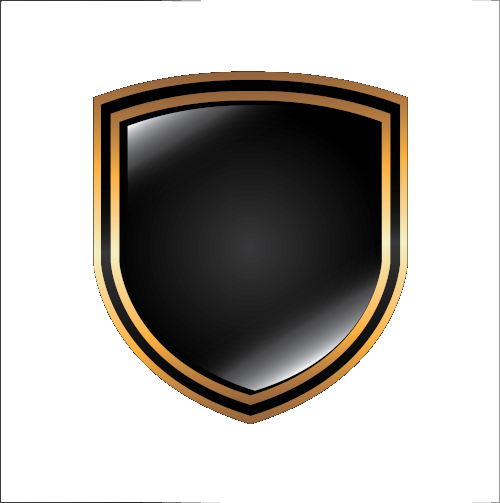 shield-icon-transparent
